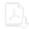Export to PDF icon